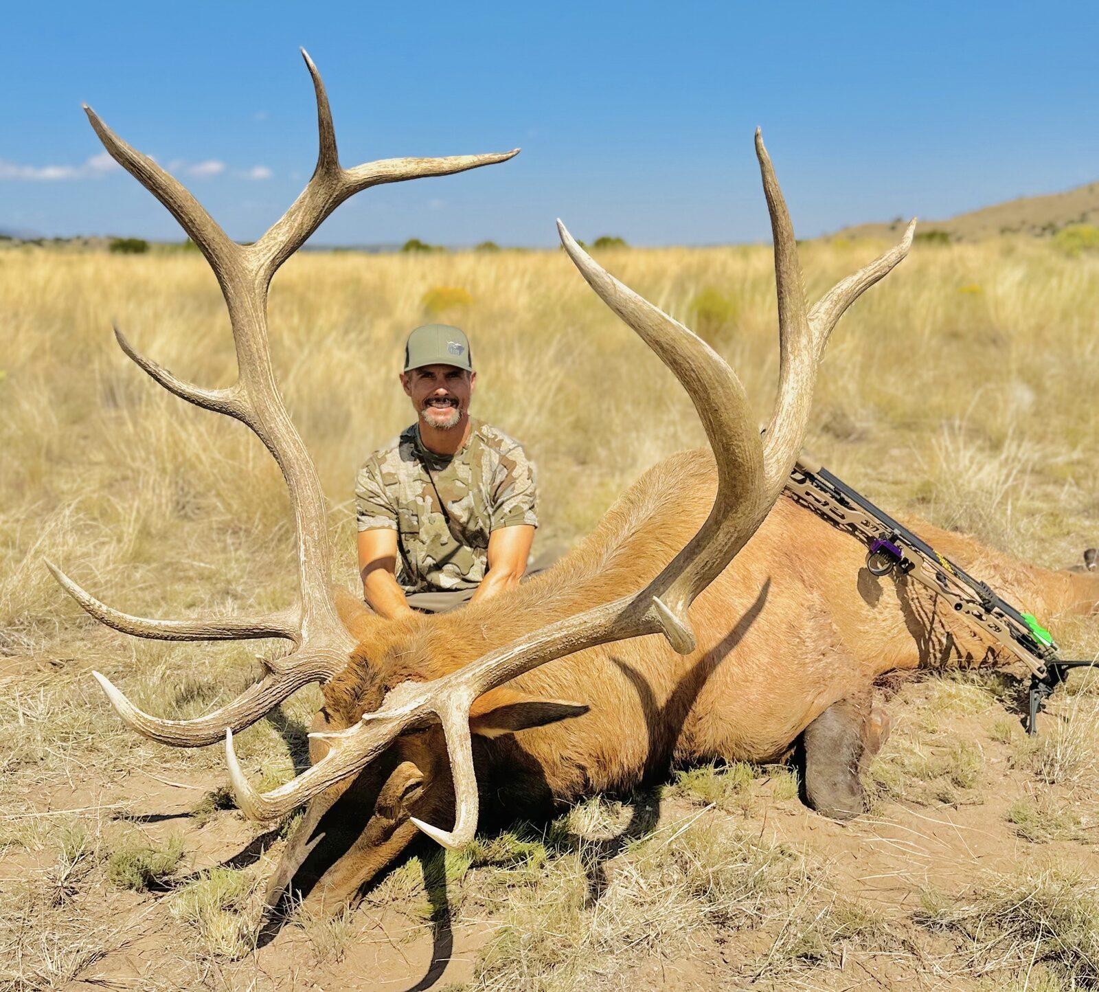 Guided New Mexico Elk hunt with LOH Outfitters