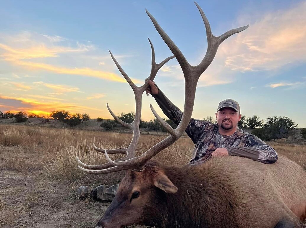 New Mexico trophy bull elk in the Gila Wilderness