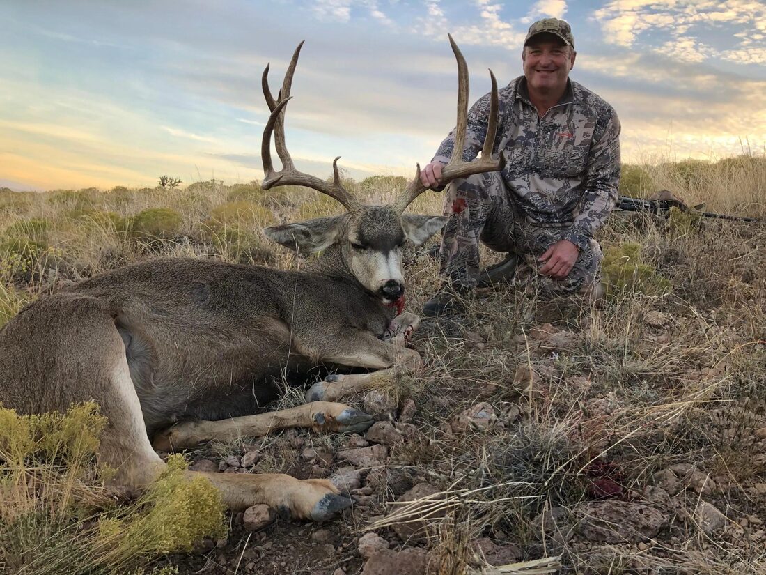 New Mexico trophy mule deer buck