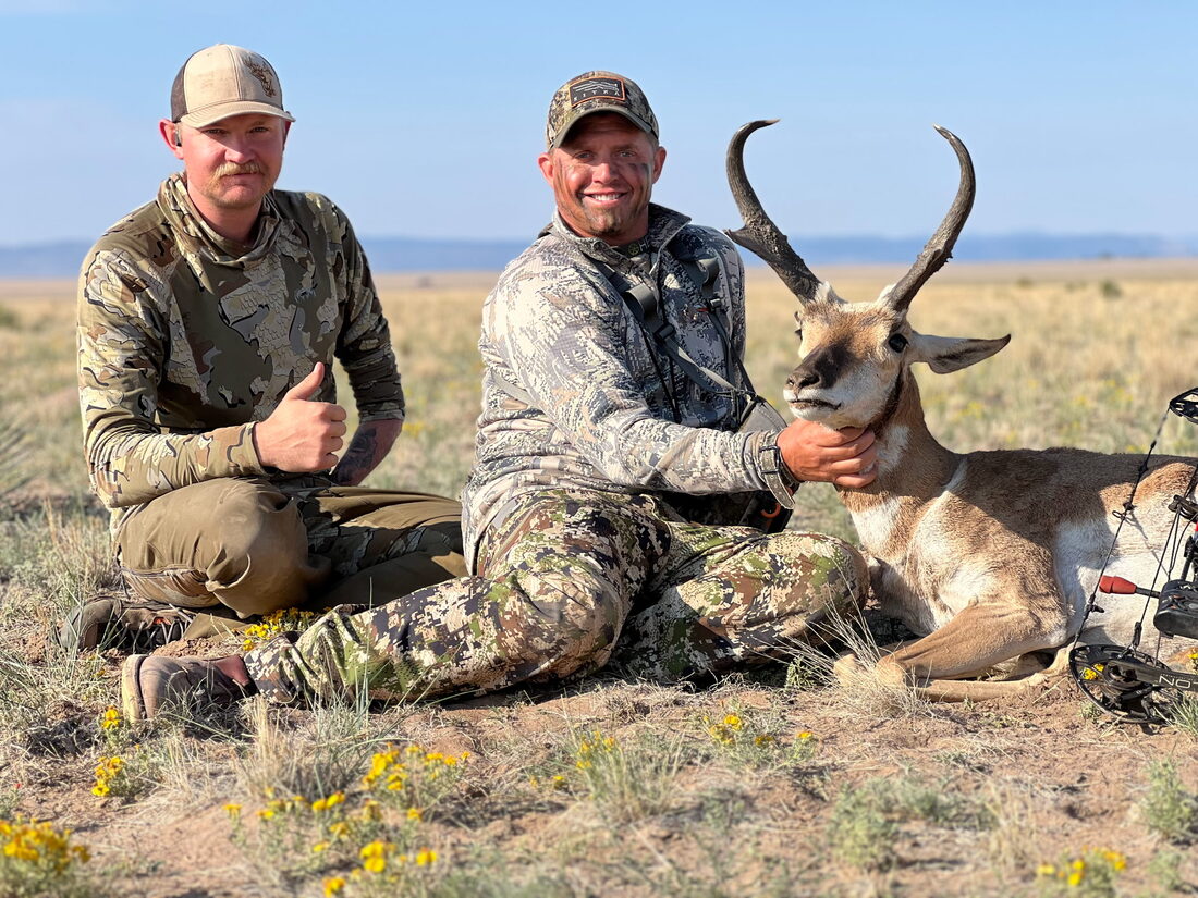 New Mexico pronghorn antelope