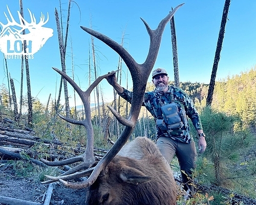 New Mexico Elk Draw Explained: What Non-Residents Need to Know for 2026
