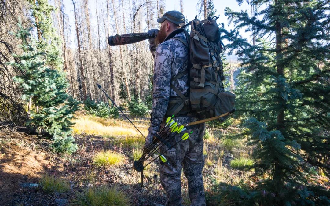 Archery Elk Hunting in New Mexico: Proven Rut Season Strategies