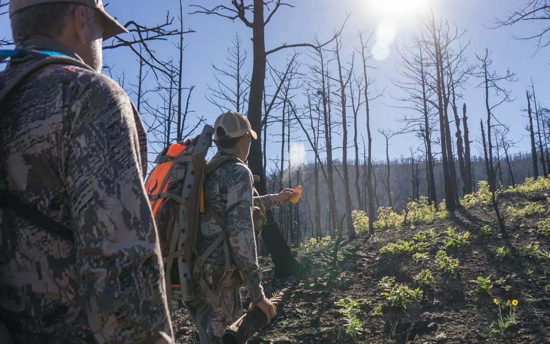 What to Expect on a 5-Day Guided Elk Hunt in New Mexico