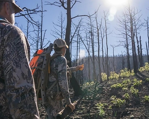 Top 7 Mistakes Hunters Make When Stalking Elk - and How to Avoid Them
