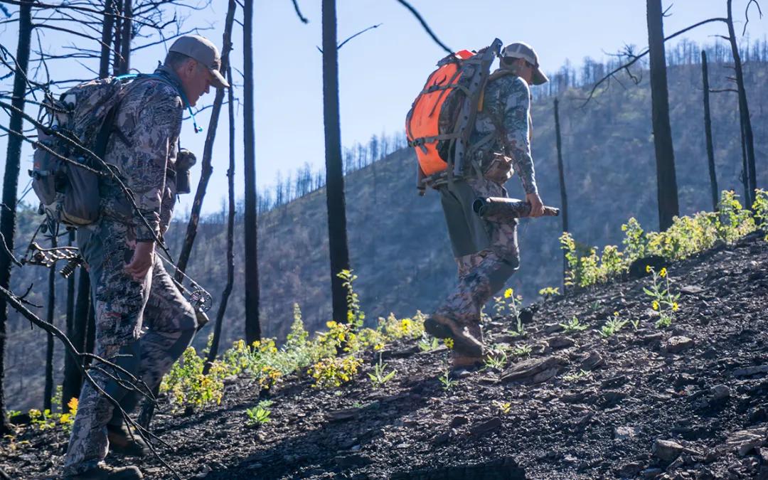 Why Serious Hunters Choose Guided Trophy Elk Hunts in New Mexico