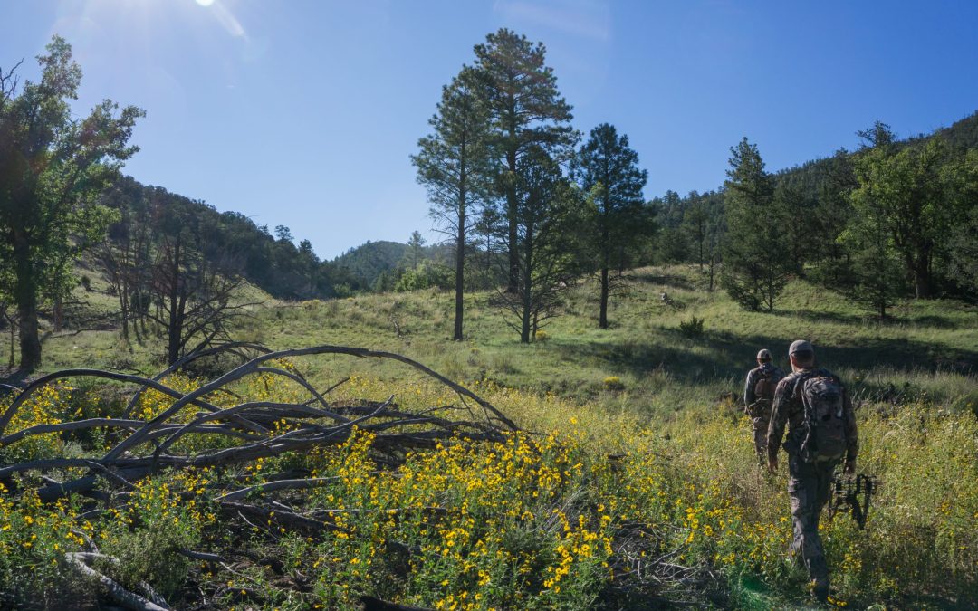 New Mexico Elk Season Is Here: A Look at Opening Week