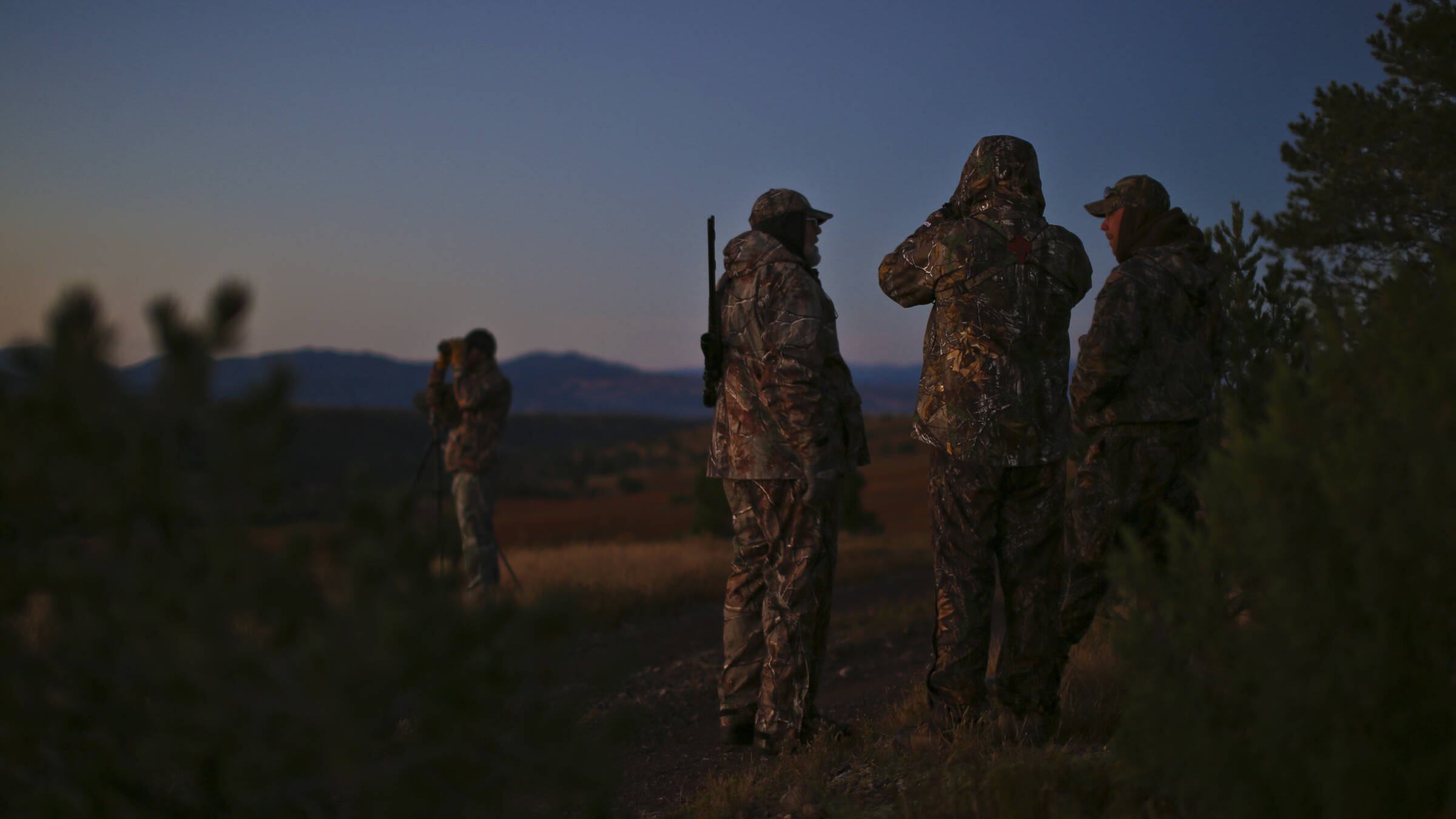 The Ultimate Guide to Elk Hunting in New Mexico: What Every Hunter Needs to Know