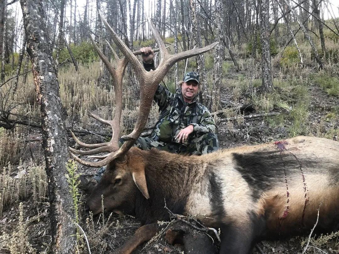 Hunting New Mexico Elk with a Muzzleloader: Why You Should Consider This Overlooked Opportunity