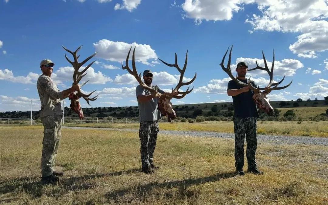 New Mexico Elk Hunts 2025: Key Insights Every Hunter Should Know
