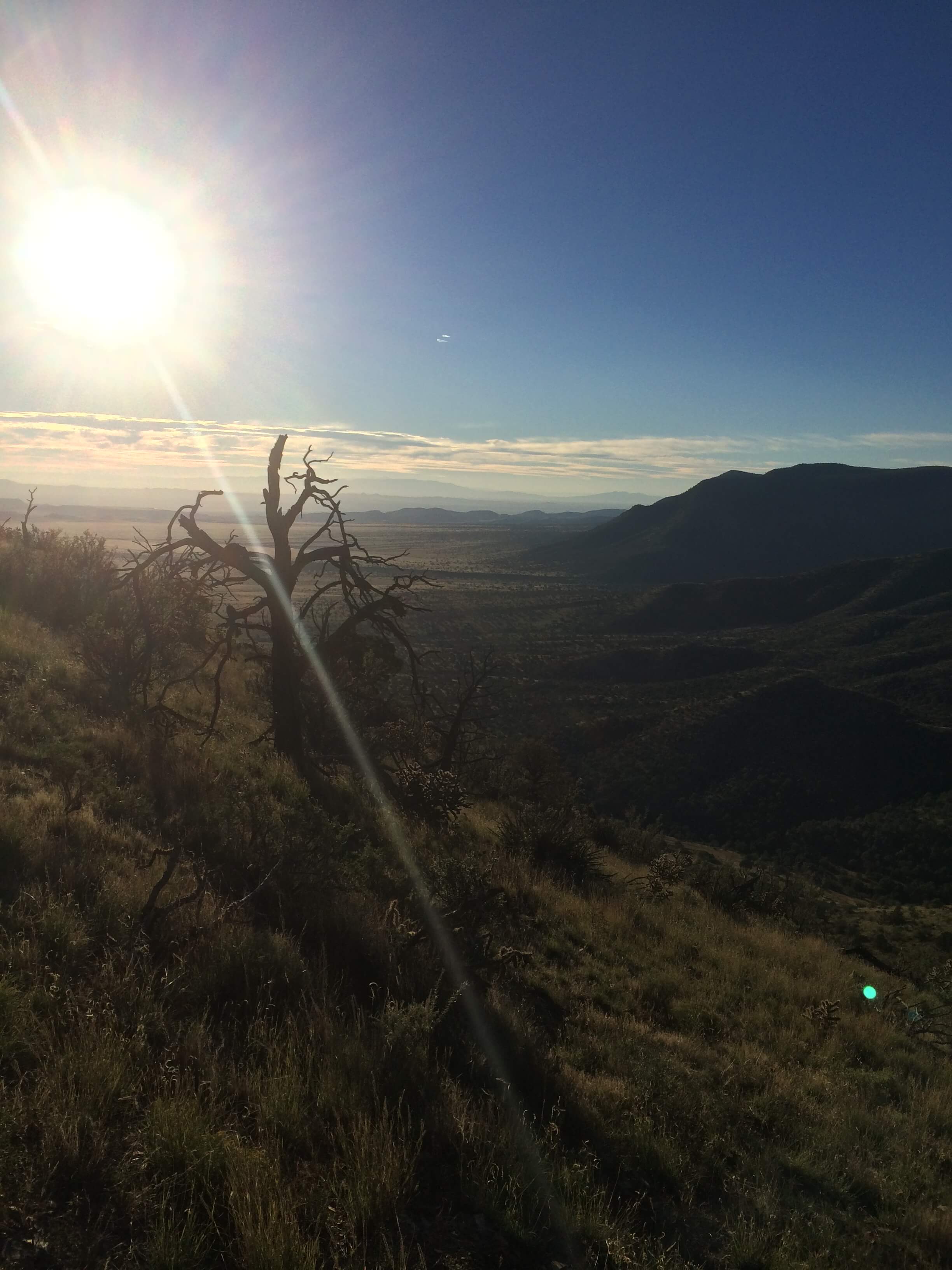How to Train in the Summer Heat for High-Elevation Elk Hunts