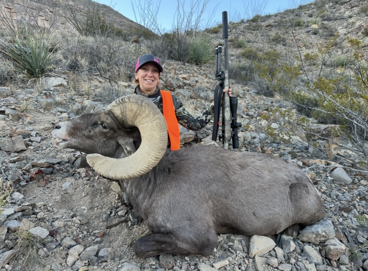 New Mexico Bighorn Sheep Hunting Guide: What You Need to Know