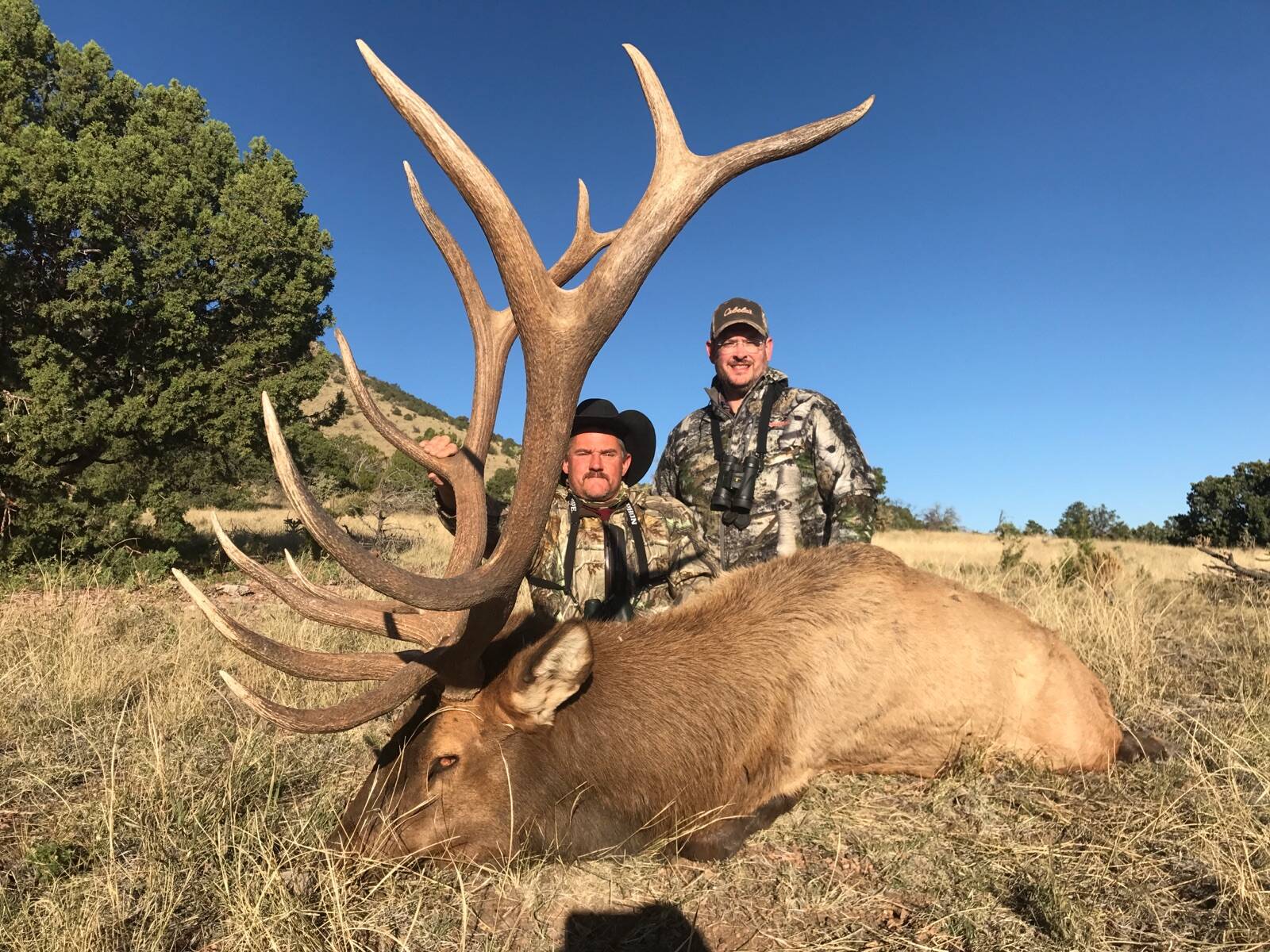 After the Shot: Field Care and Meat Handling in Warm Weather