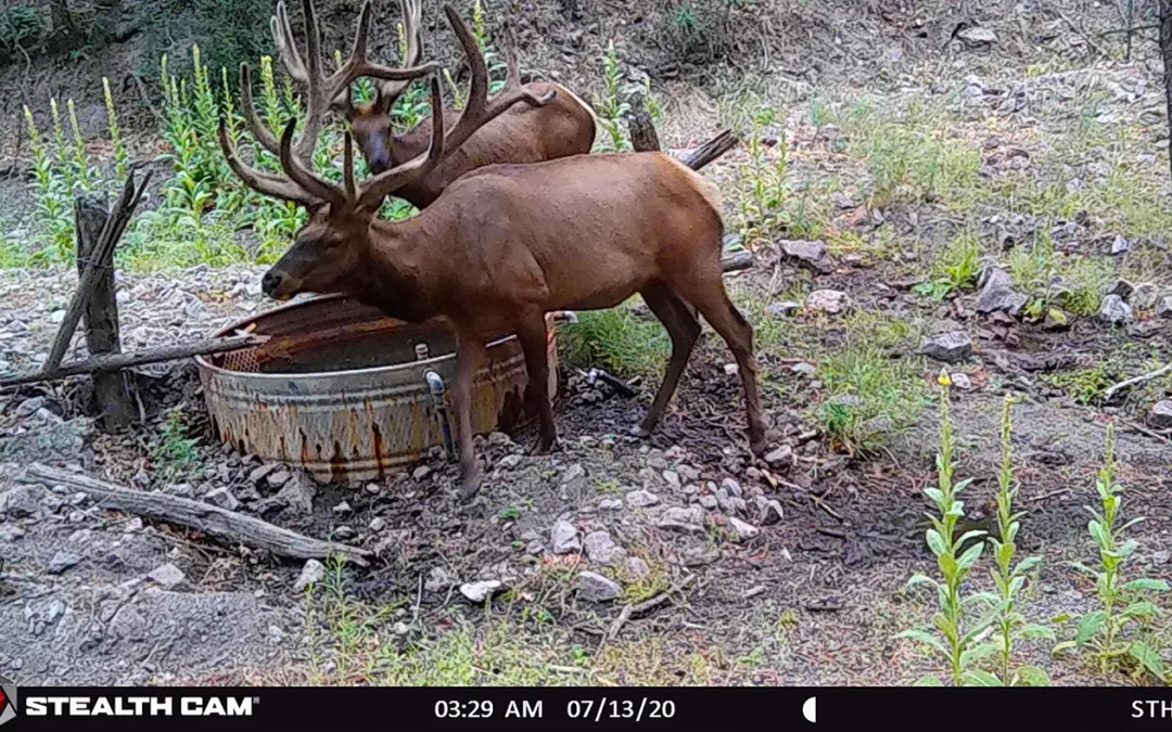New Mexico Pre-Season Scouting Report