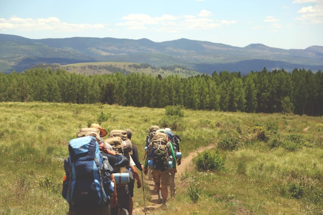 What Successful Elk Hunters Do Differently Before the Season Even Starts