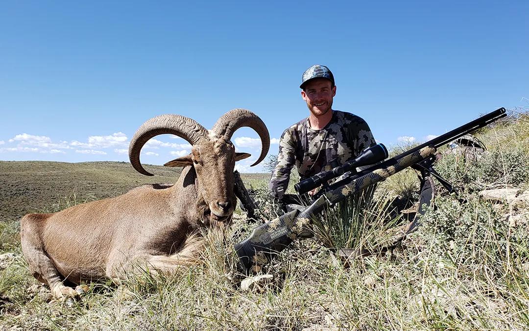 Last Minute Barbary Sheep Hunt Opening