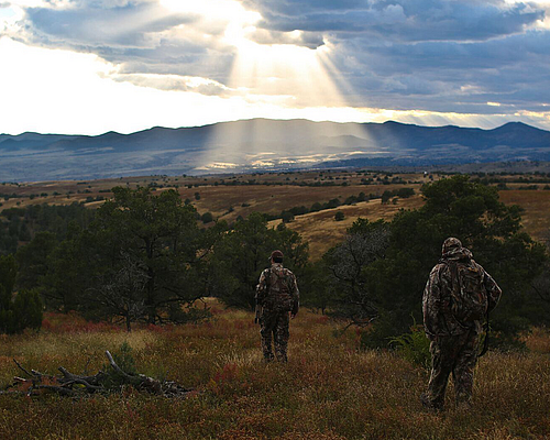Guided Coues Deer Hunts: How to Outsmart the Gray Ghost
