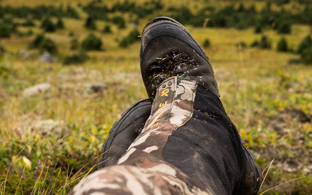 Building Mountain Legs: Training for a Western Elk Hunt