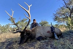 New Mexico Elk hunt with LOH Outfitters