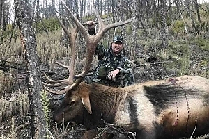 New Mexico Elk hunt with LOH Outfitters