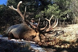 New Mexico Elk hunt with LOH Outfitters