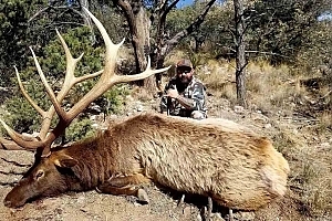 New Mexico Elk hunt with LOH Outfitters