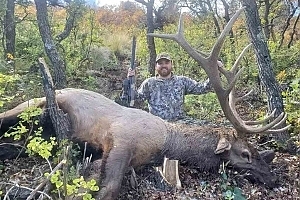 New Mexico Elk hunt with LOH Outfitters