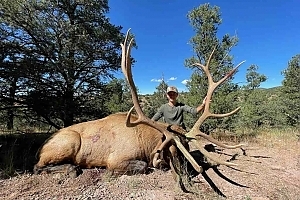 New Mexico Elk hunt with LOH Outfitters